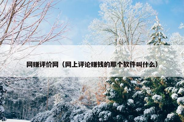 网赚评价网（网上评论赚钱的那个软件叫什么）