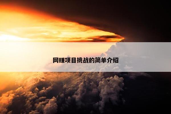 网赚项目挑战的简单介绍