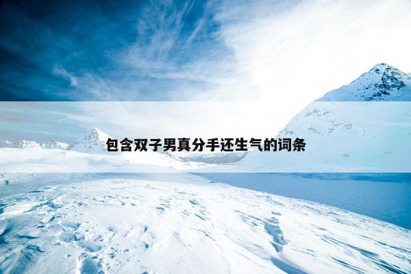 包含双子男真分手还生气的词条