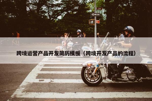 跨境运营产品开发简历模板（跨境开发产品的流程）