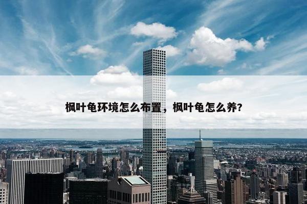 枫叶龟环境怎么布置，枫叶龟怎么养?
