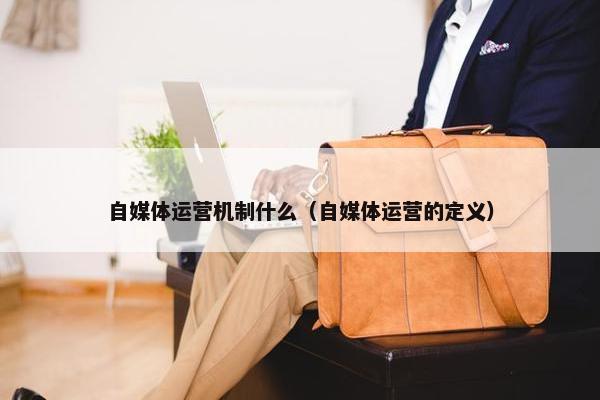 自媒体运营机制什么（自媒体运营的定义）