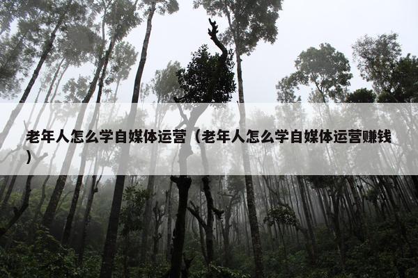 老年人怎么学自媒体运营（老年人怎么学自媒体运营赚钱）