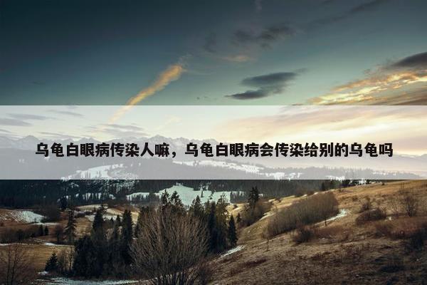 乌龟白眼病传染人嘛，乌龟白眼病会传染给别的乌龟吗