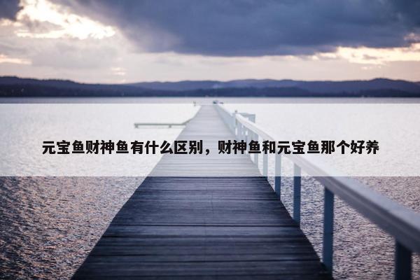 元宝鱼财神鱼有什么区别，财神鱼和元宝鱼那个好养