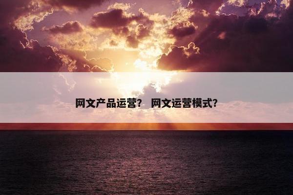 网文产品运营？ 网文运营模式？