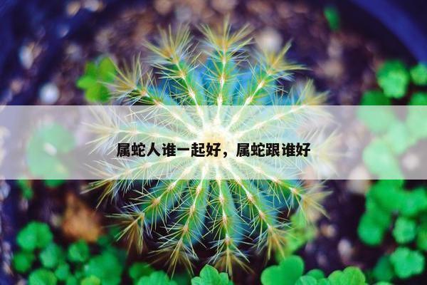 属蛇人谁一起好，属蛇跟谁好