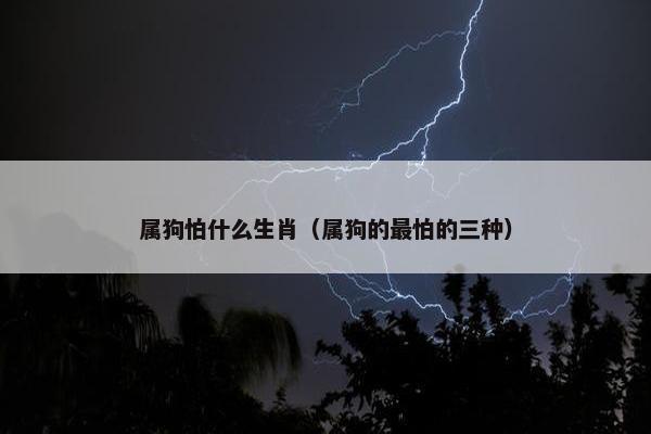 属狗怕什么生肖（属狗的最怕的三种）