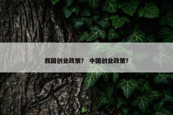 我国创业政策？ 中国创业政策？