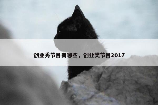 创业秀节目有哪些，创业类节目2017