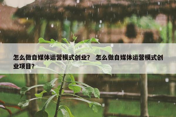 怎么做自媒体运营模式创业？ 怎么做自媒体运营模式创业项目？