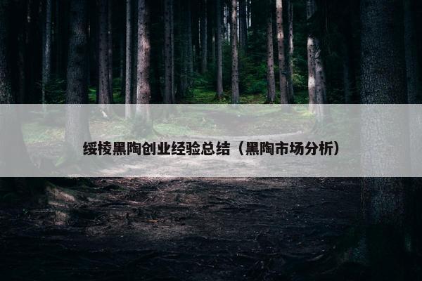 绥棱黑陶创业经验总结（黑陶市场分析）