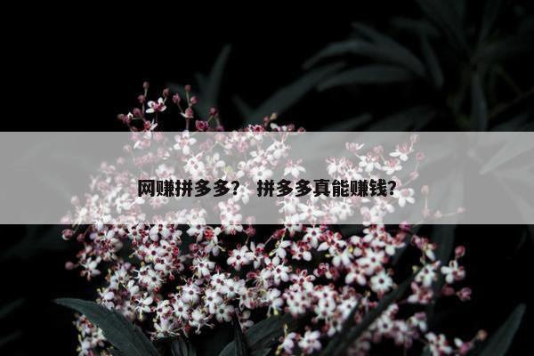 网赚拼多多？ 拼多多真能赚钱？