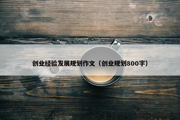 创业经验发展规划作文（创业规划800字）