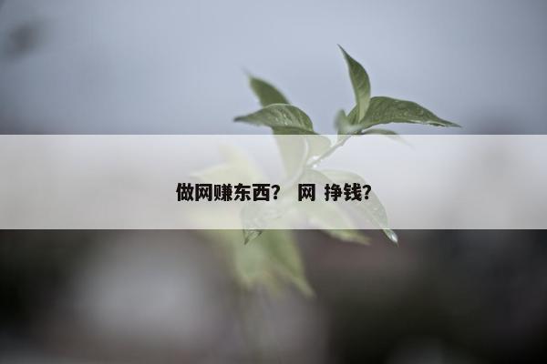 做网赚东西？ 网 挣钱？