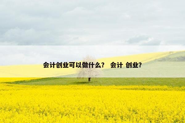 会计创业可以做什么？ 会计 创业？