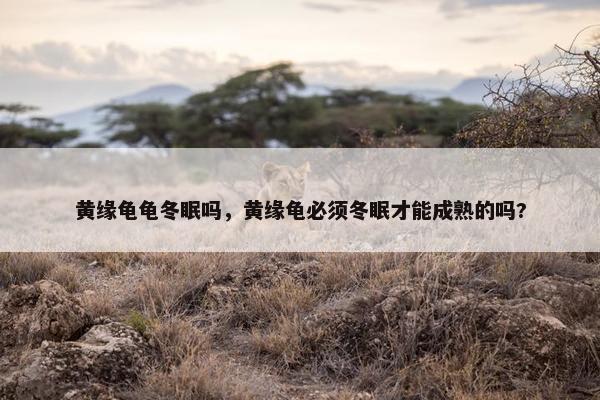 黄缘龟龟冬眠吗，黄缘龟必须冬眠才能成熟的吗?