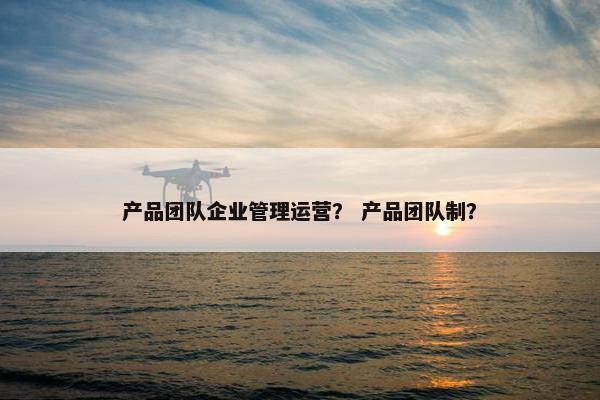 产品团队企业管理运营？ 产品团队制？