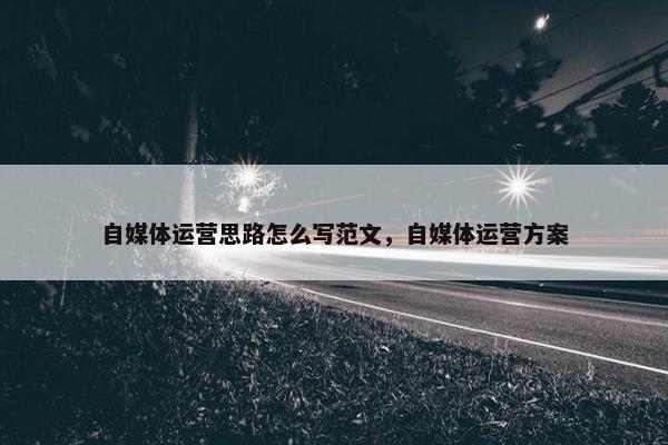 自媒体运营思路怎么写范文，自媒体运营方案