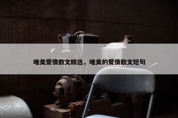 唯美爱情散文精选，唯美的爱情散文短句