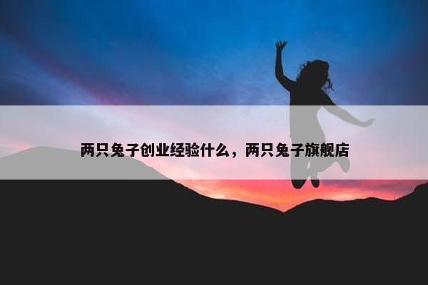 两只兔子创业经验什么，两只兔子旗舰店