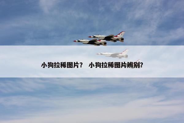小狗拉稀图片？ 小狗拉稀图片辨别？