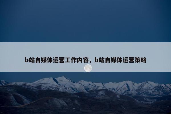 b站自媒体运营工作内容，b站自媒体运营策略