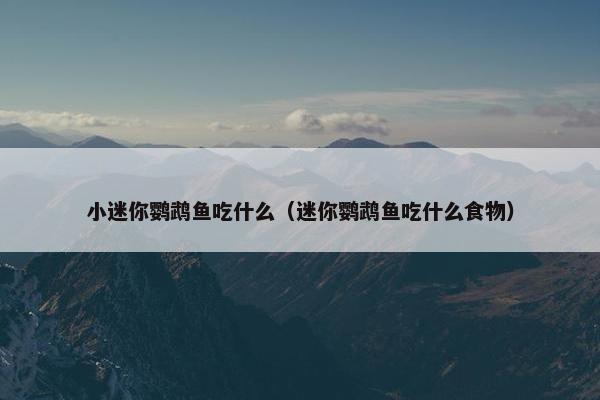小迷你鹦鹉鱼吃什么（迷你鹦鹉鱼吃什么食物）
