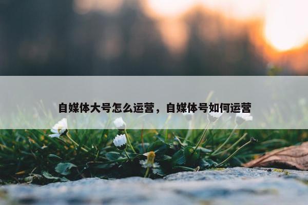 自媒体大号怎么运营，自媒体号如何运营