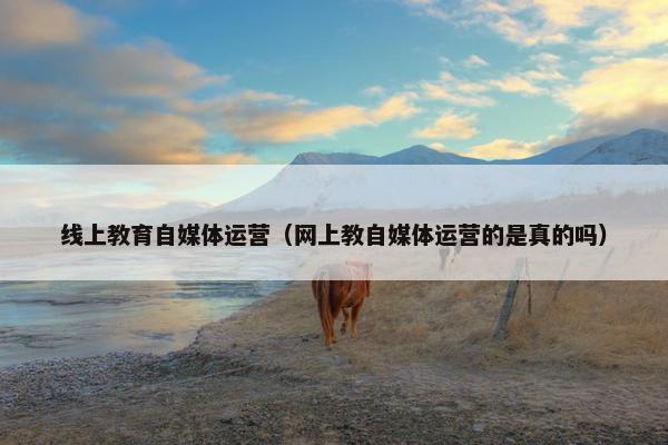 线上教育自媒体运营（网上教自媒体运营的是真的吗）