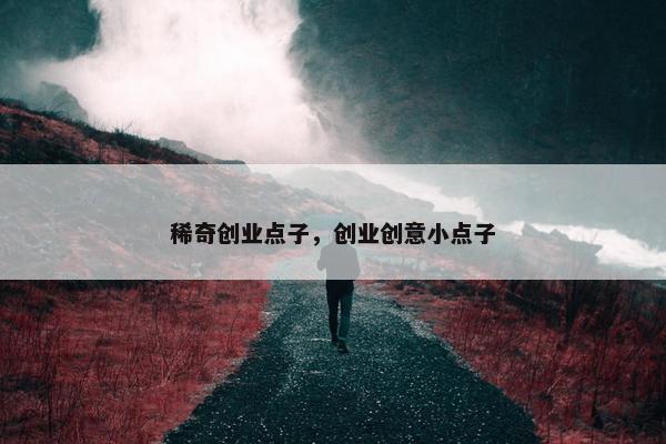 稀奇创业点子，创业创意小点子