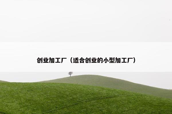 创业加工厂（适合创业的小型加工厂）