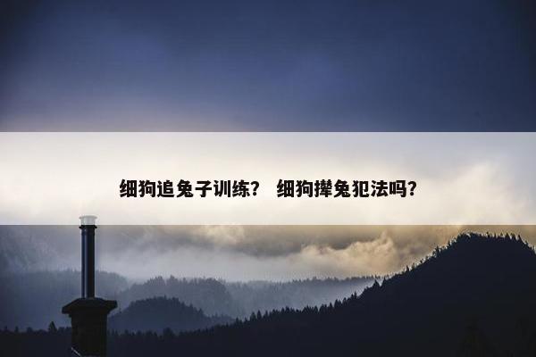 细狗追兔子训练？ 细狗撵兔犯法吗？