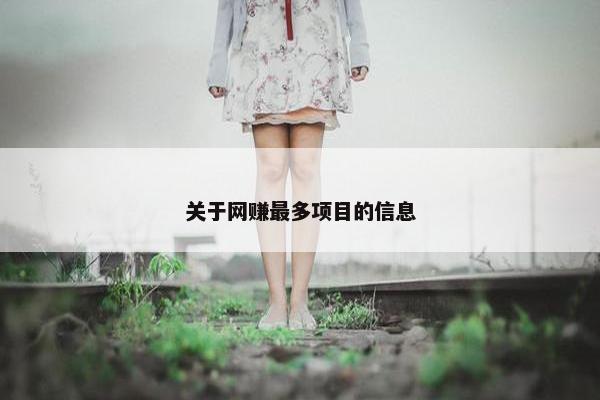 关于网赚最多项目的信息