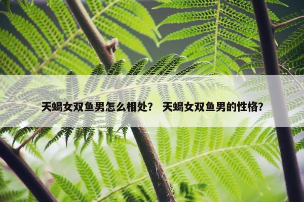 天蝎女双鱼男怎么相处？ 天蝎女双鱼男的性格？