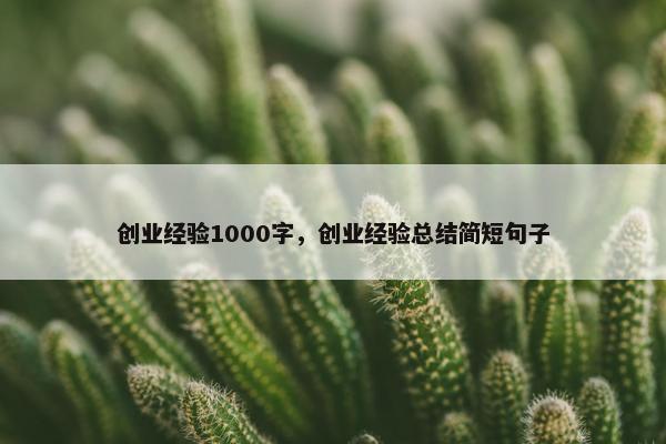 创业经验1000字，创业经验总结简短句子