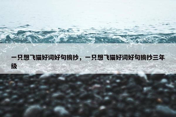 一只想飞猫好词好句摘抄，一只想飞猫好词好句摘抄三年级