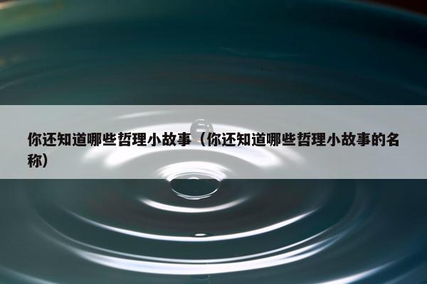你还知道哪些哲理小故事（你还知道哪些哲理小故事的名称）