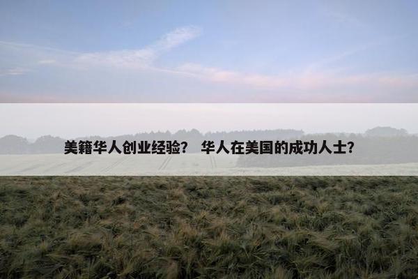 美籍华人创业经验？ 华人在美国的成功人士？