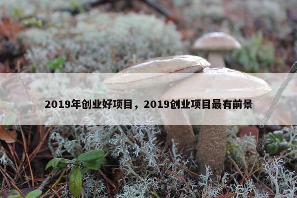 2019年创业好项目，2019创业项目最有前景