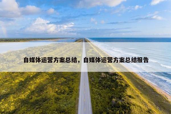 自媒体运营方案总结，自媒体运营方案总结报告