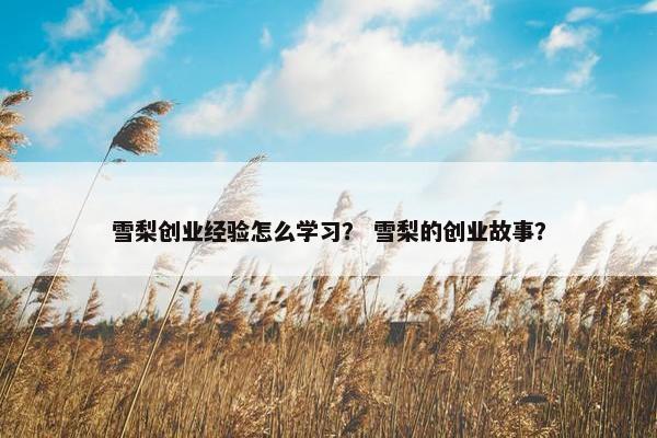 雪梨创业经验怎么学习？ 雪梨的创业故事？
