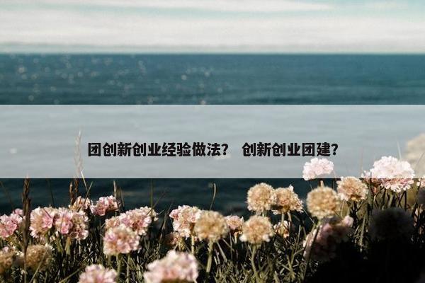 团创新创业经验做法？ 创新创业团建？