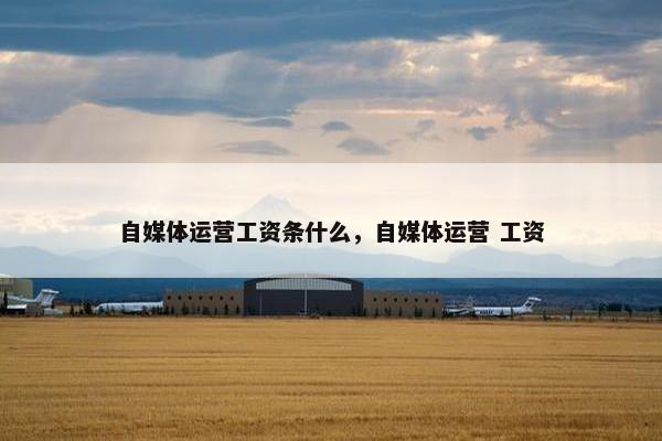 自媒体运营工资条什么，自媒体运营 工资