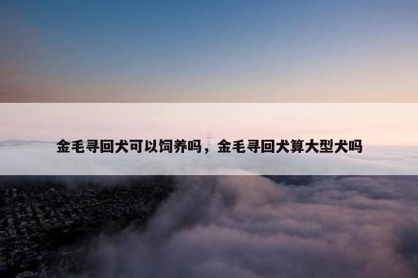 金毛寻回犬可以饲养吗，金毛寻回犬算大型犬吗