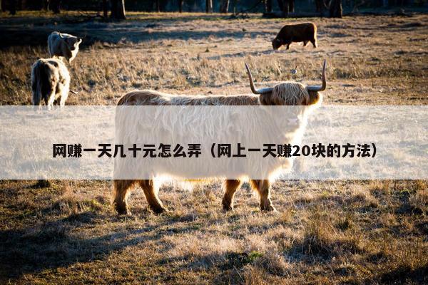 网赚一天几十元怎么弄（网上一天赚20块的方法）