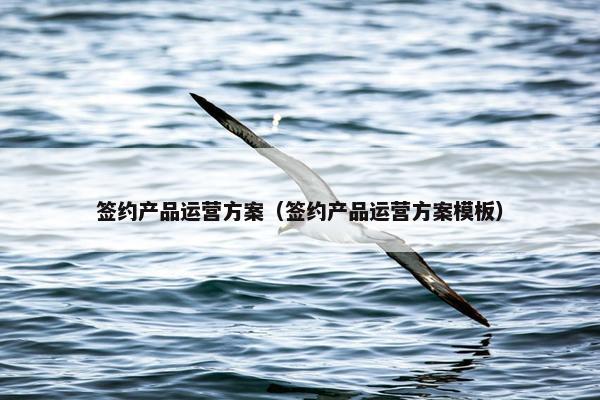 签约产品运营方案（签约产品运营方案模板）