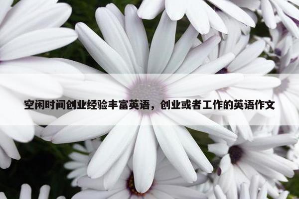 空闲时间创业经验丰富英语，创业或者工作的英语作文