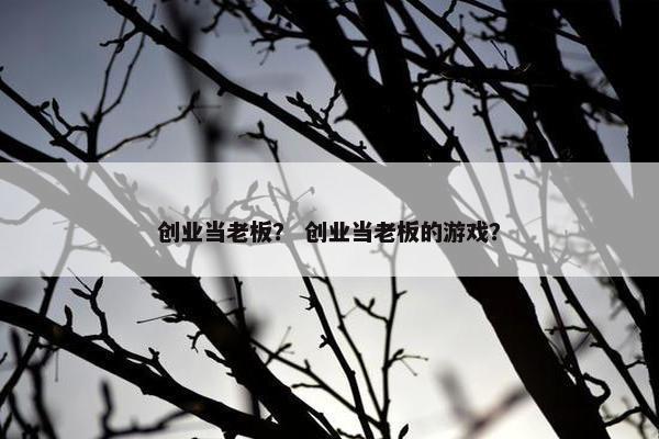 创业当老板？ 创业当老板的游戏？