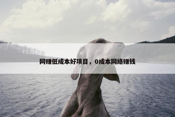 网赚低成本好项目，0成本网络赚钱
